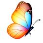 butterfly icon
